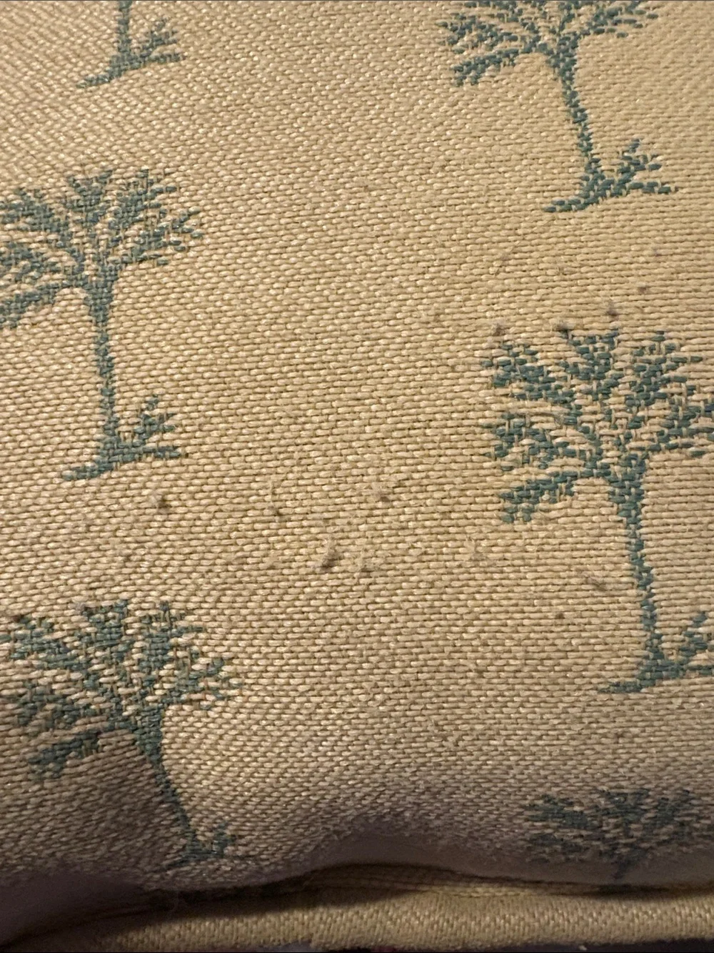 Palm Tree Pattern Accent Pillow - Cream with Light Teal Trees
